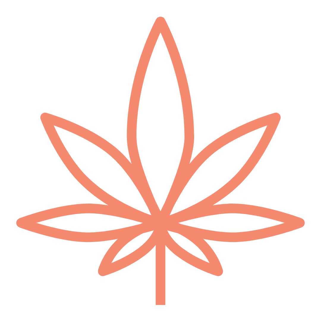 Hemp vs Marijuana: The Truth About THC Legal Products