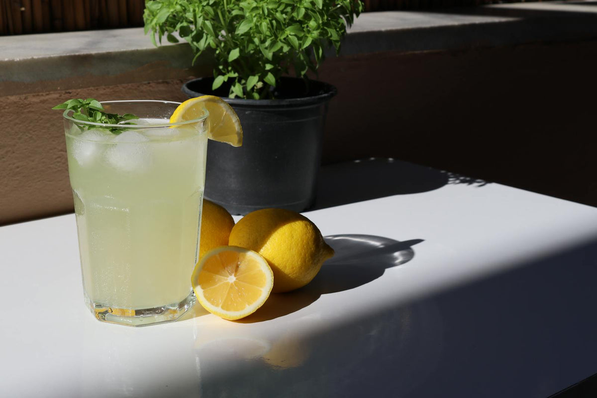 Refreshing lemonade with lemons and basil plant