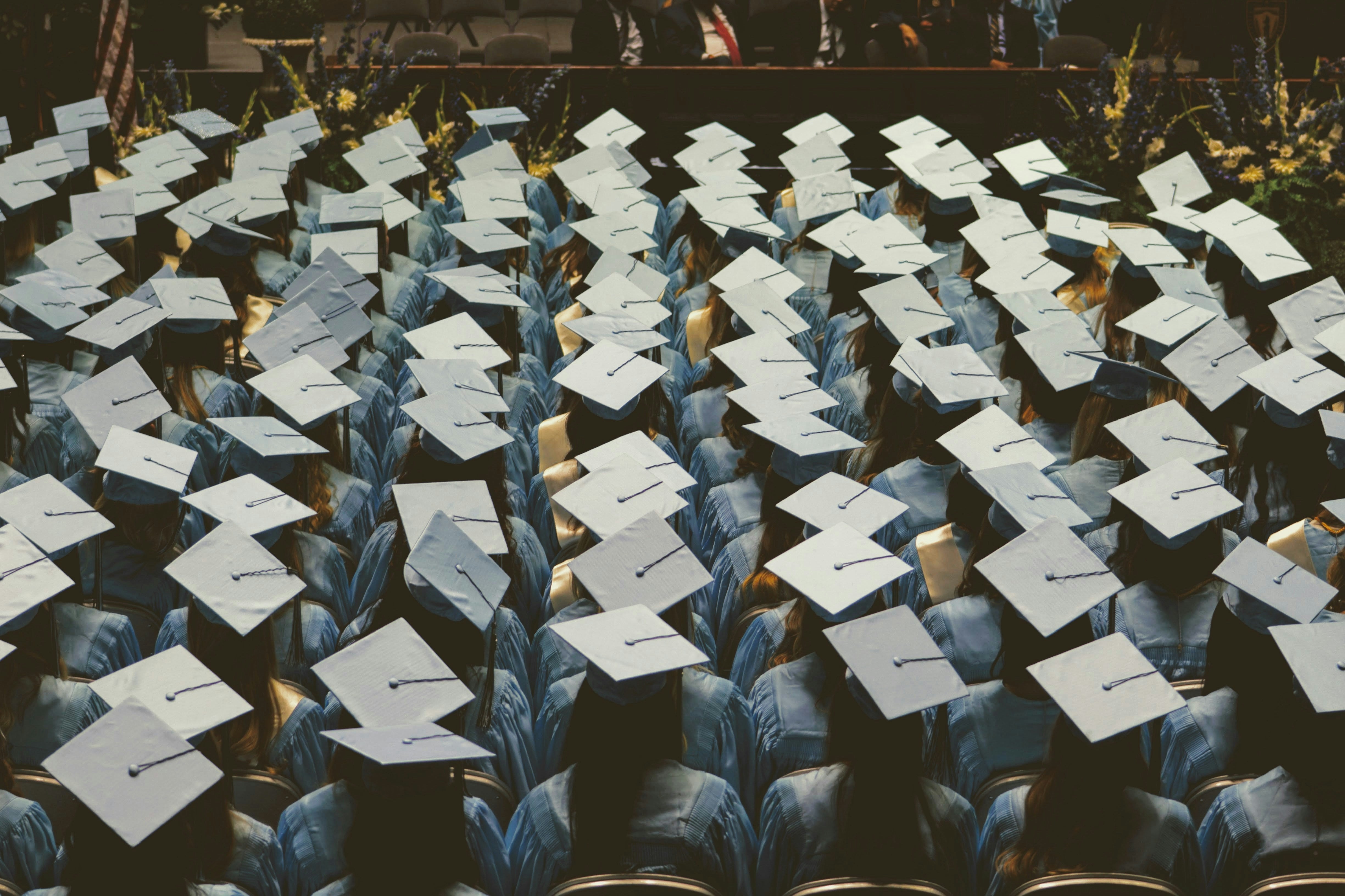 Graduation hats in rows