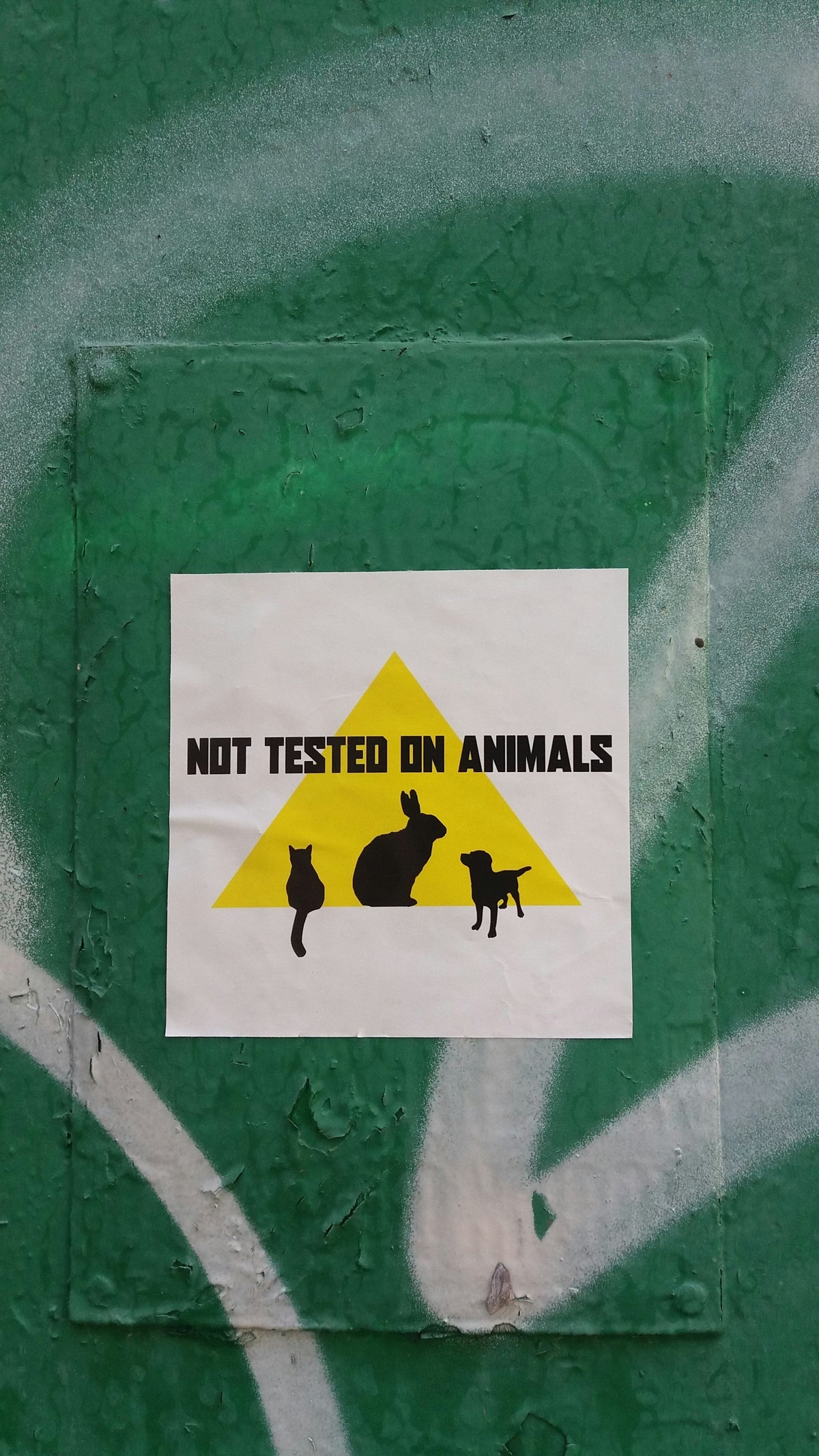 Third Party Tested THC Drinks: What That Really Means