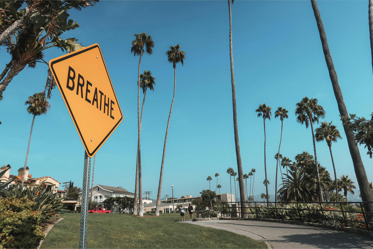 THC Drinks in California: The Rise of Hemp Beverages
