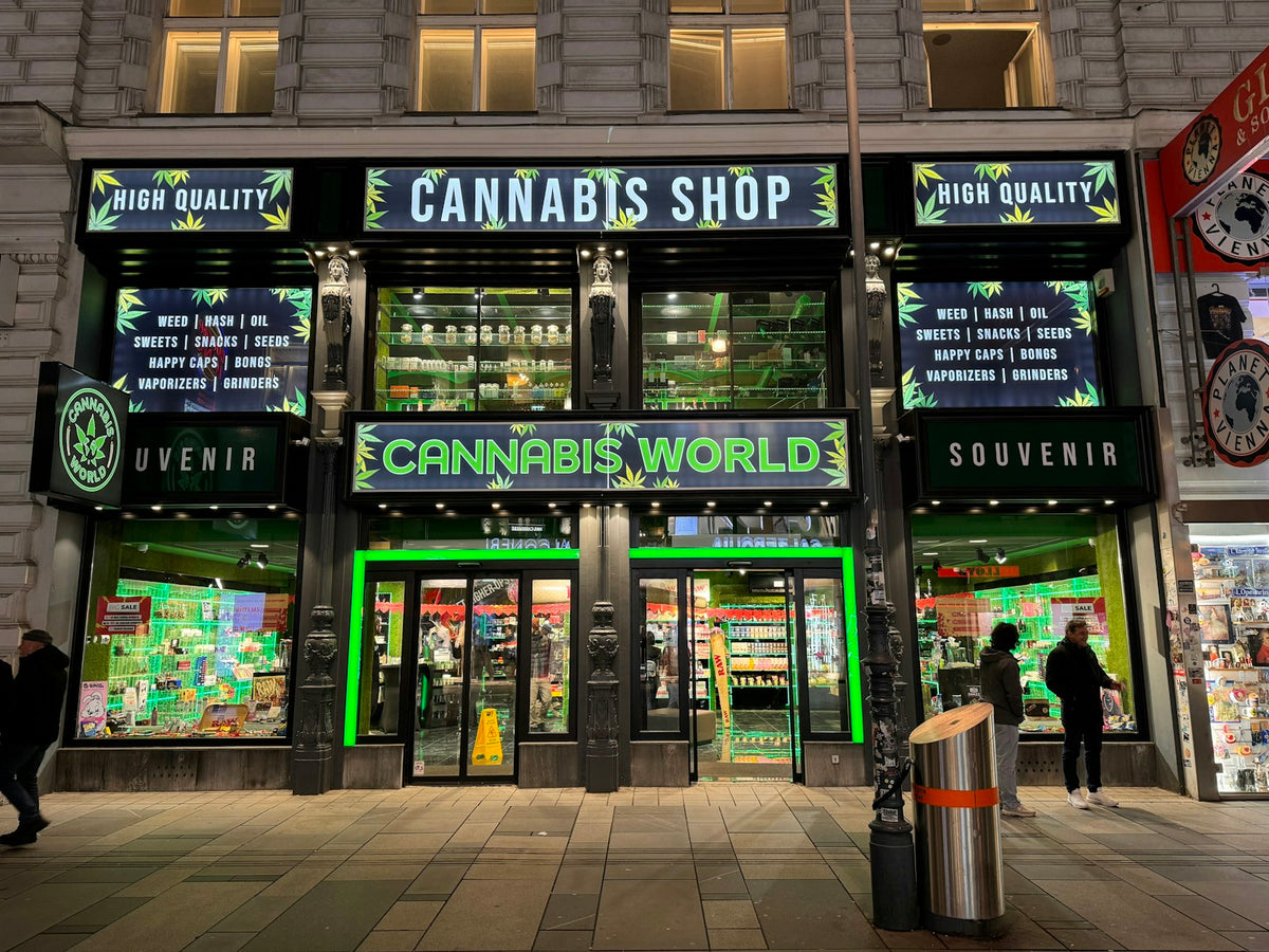 Cannabis shop exterior at night, colorful signage
