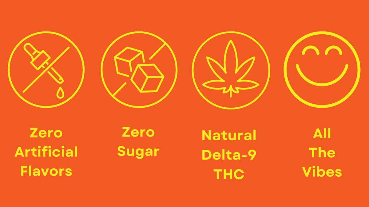 Sensi Fit THC Energy Drink Infographic